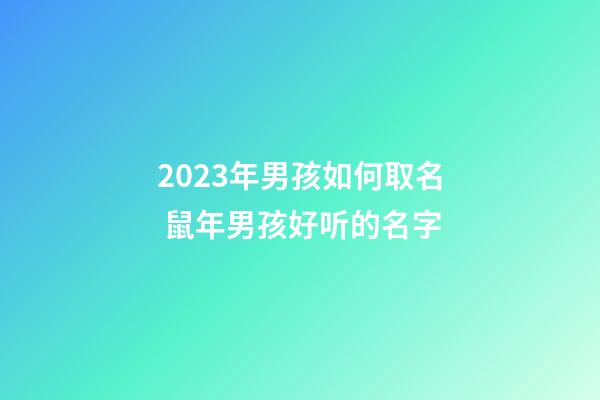 2023年男孩如何取名 鼠年男孩好听的名字